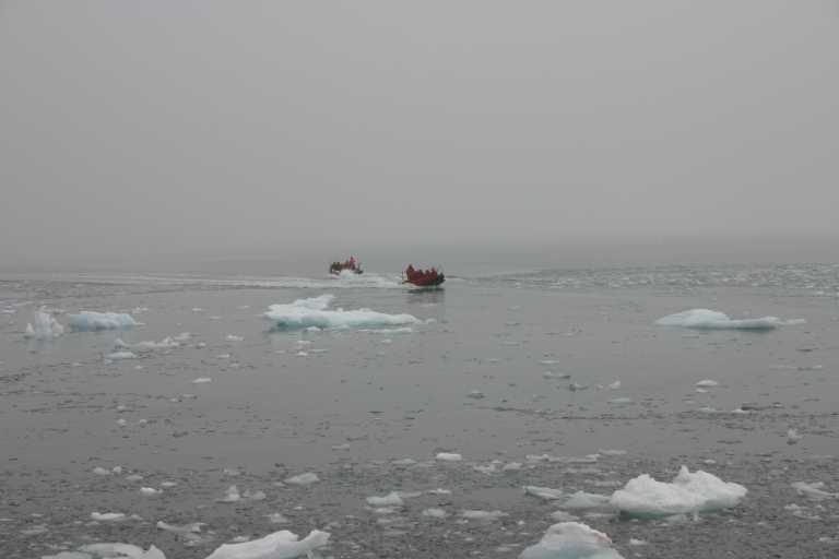 031227_yhdi_011.jpg (18797 Byte)