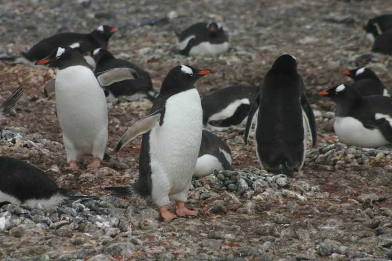 031227_yhdi_014.jpg (43997 Byte)