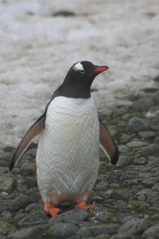 031227_yhdi_024.jpg (27991 Byte)