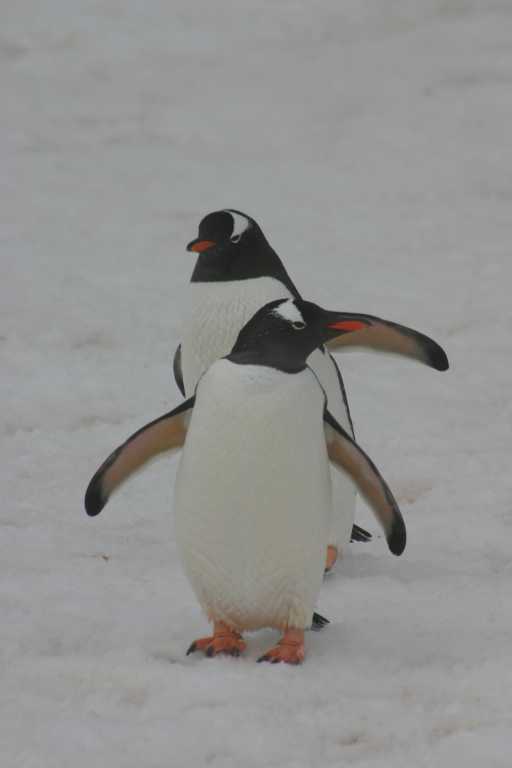 031227_yhdi_028.jpg (13641 Byte)