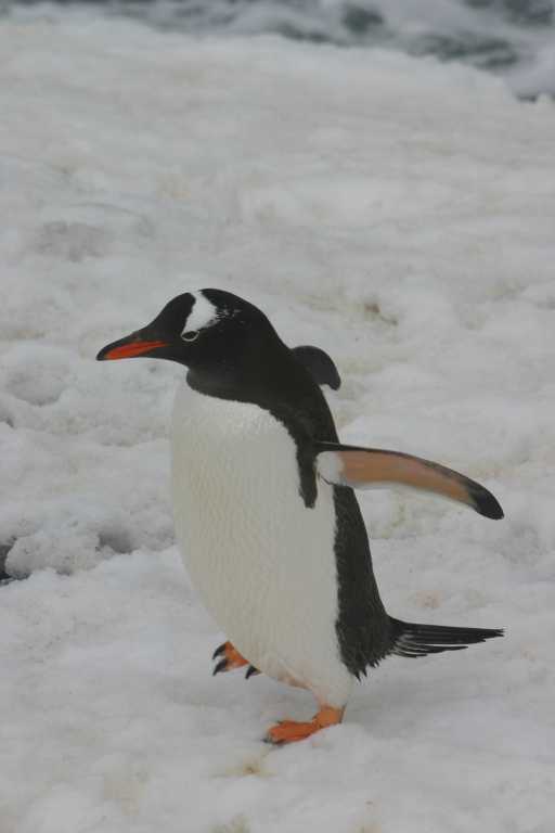 031227_yhdi_029.jpg (17380 Byte)