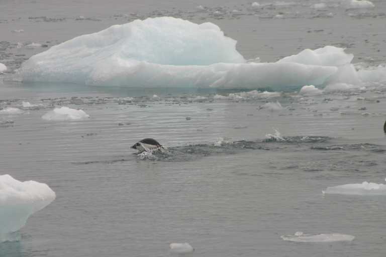 031227_yhdi_059.jpg (24186 Byte)