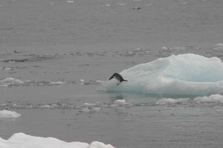 031227_yhdi_061.jpg (21011 Byte)