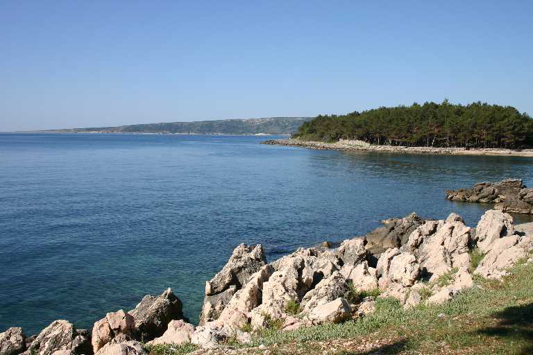 1006_KROA_0032.JPG