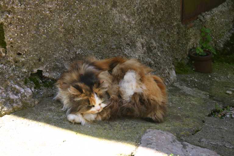 1006_KROA_0046.JPG