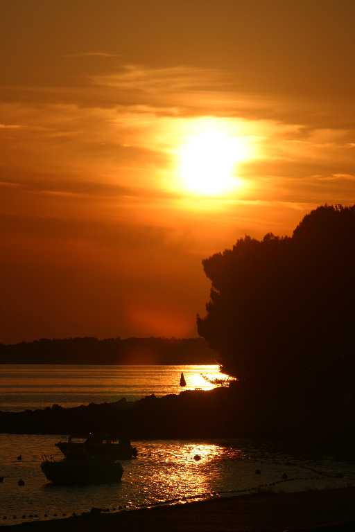 1006_KROA_0069.JPG