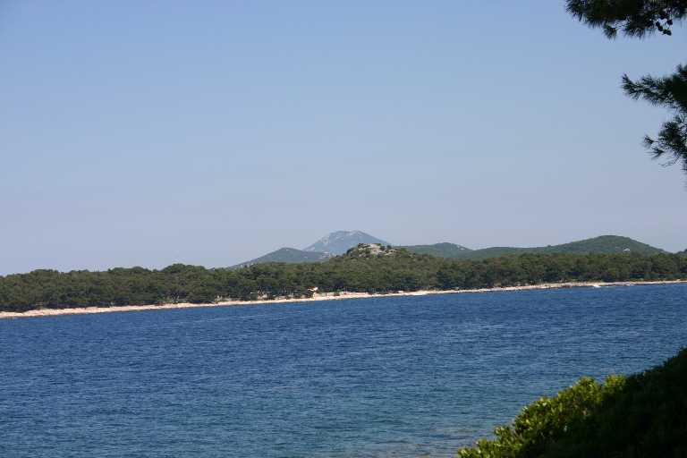 1006_KROA_0072.JPG