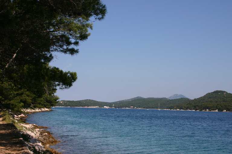 1006_KROA_0074.JPG
