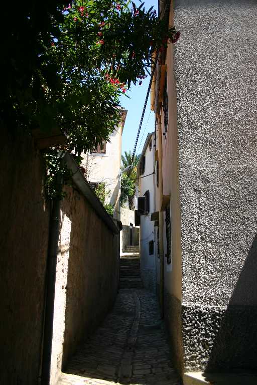 1006_KROA_0077.JPG