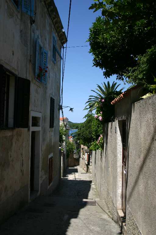 1006_KROA_0080.JPG