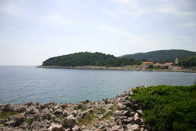 1006_KROA_0083.JPG