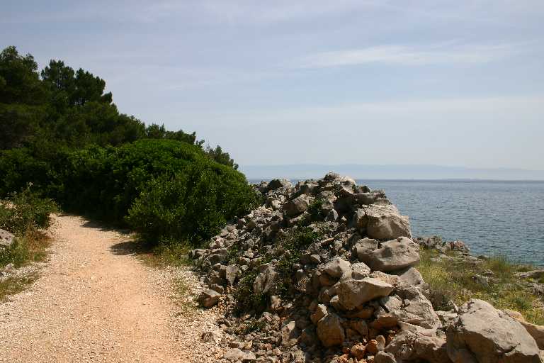 1006_KROA_0084.JPG