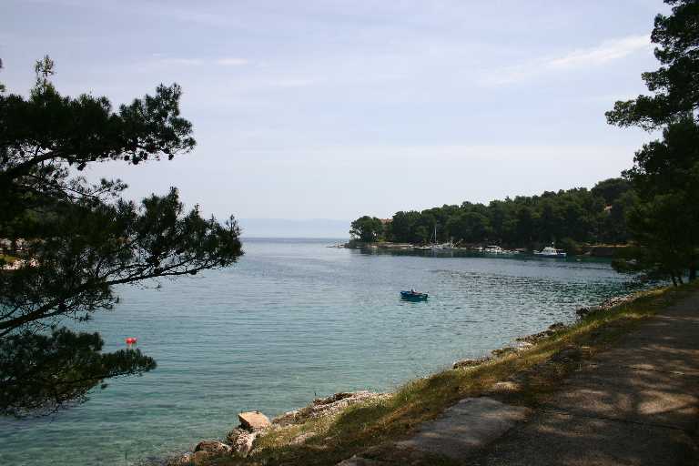 1006_KROA_0086.JPG