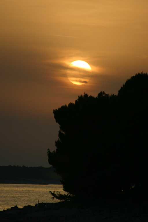 1006_KROA_0094.JPG
