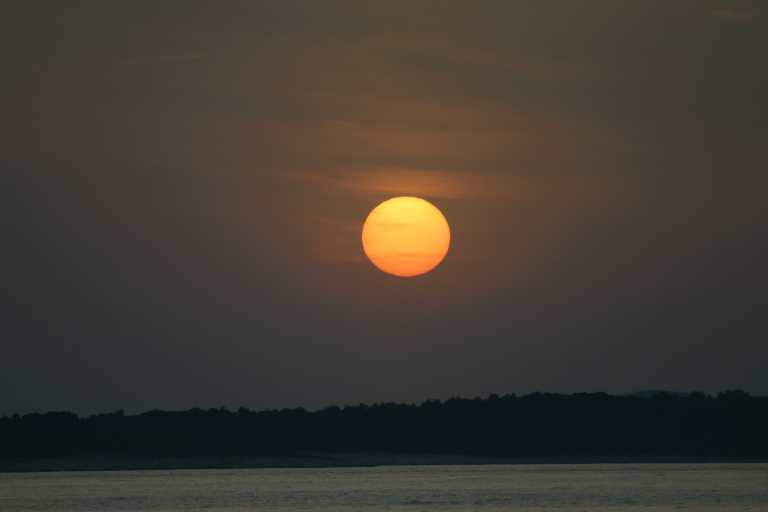 1006_KROA_0095.JPG