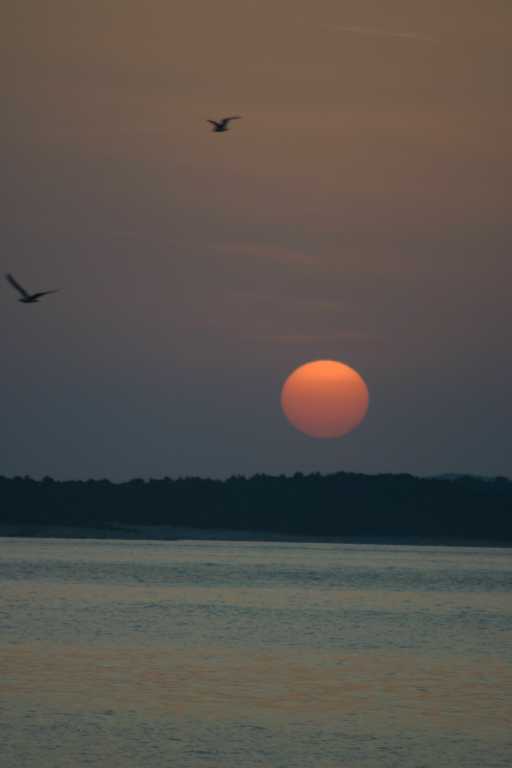 1006_KROA_0096.JPG