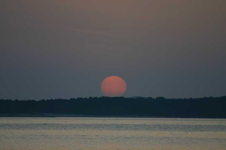 1006_KROA_0097.JPG