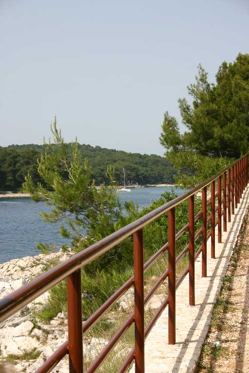 1006_KROA_0110.JPG
