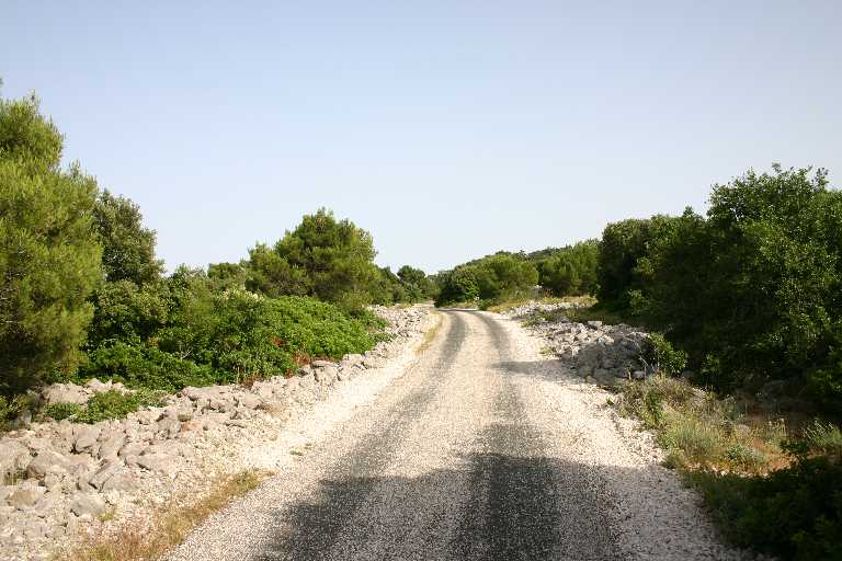 1006_KROA_0113.JPG