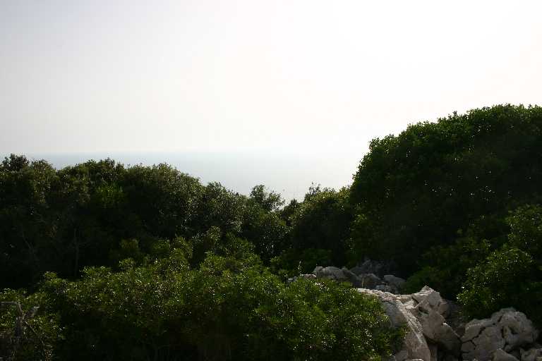 1006_KROA_0115.JPG