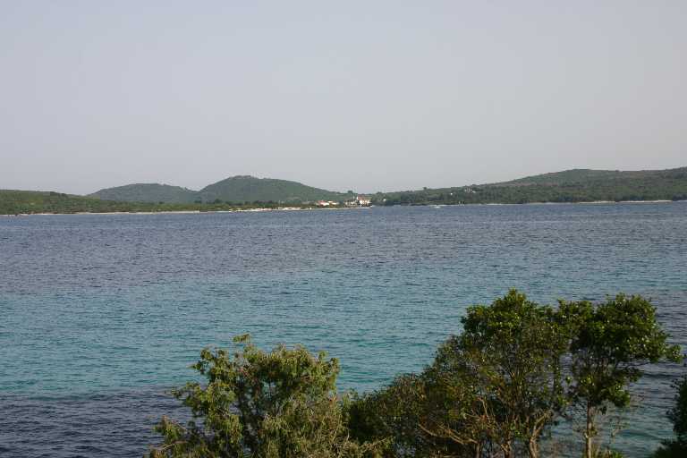 1006_KROA_0120.JPG