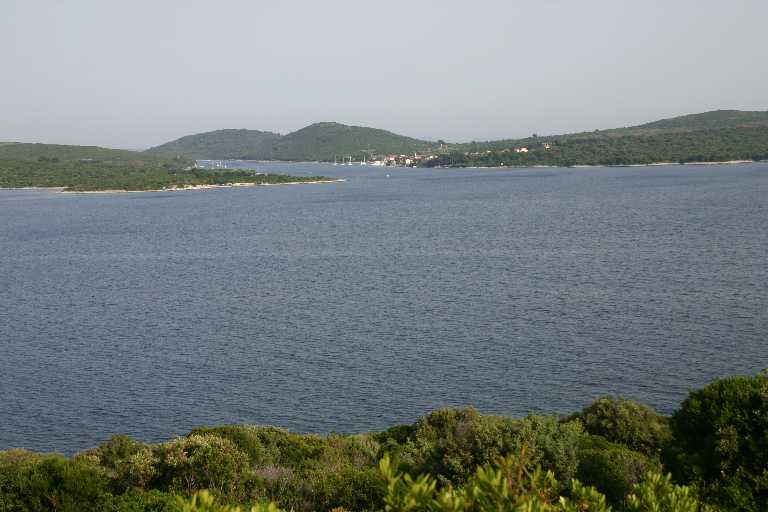 1006_KROA_0121.JPG