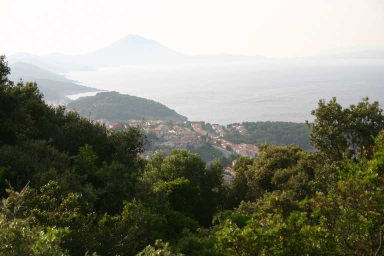 1006_KROA_0125.JPG