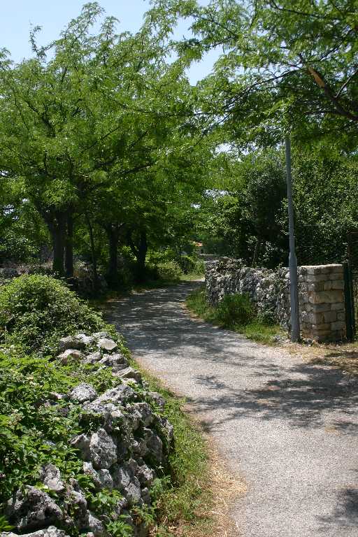 1006_KROA_0138.JPG