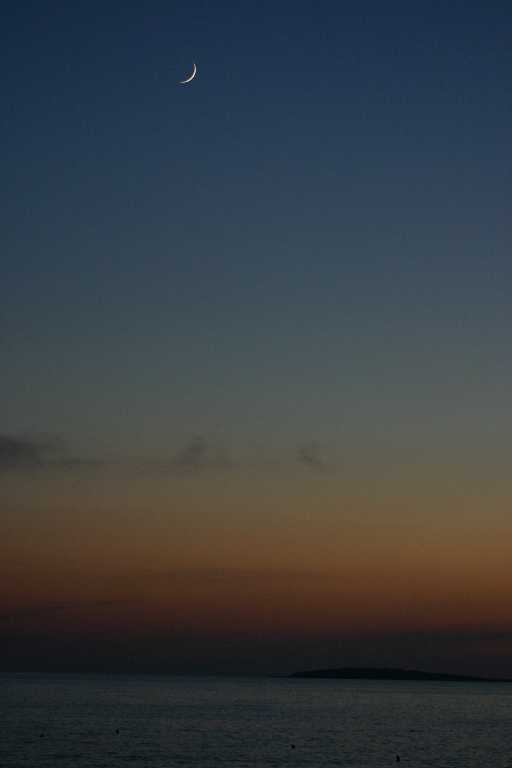 1006_KROA_0171.JPG