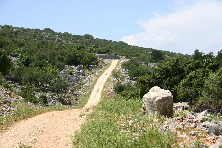 1006_KROA_0195.JPG