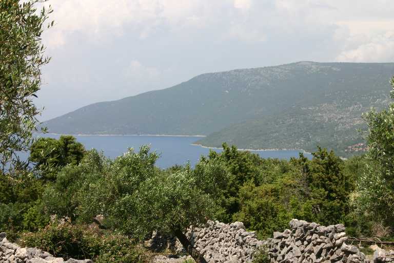 1006_KROA_0196.JPG