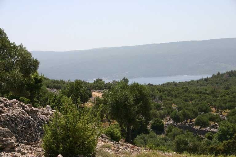 1006_KROA_0199.JPG
