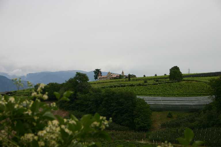 1006_KROA_0231.JPG