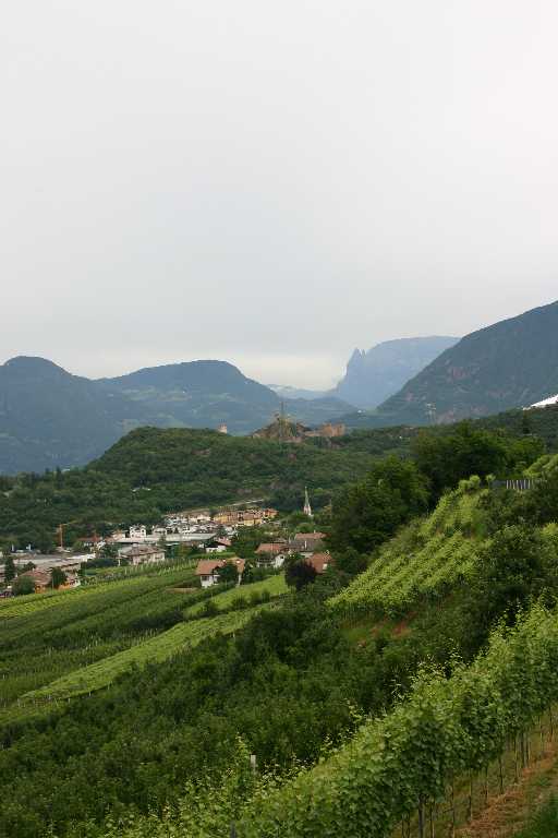 1006_KROA_0237.JPG
