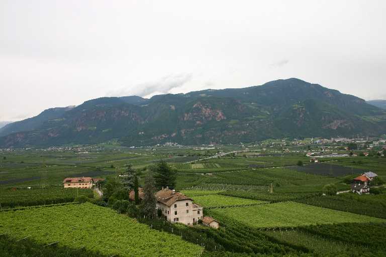 1006_KROA_0238.JPG