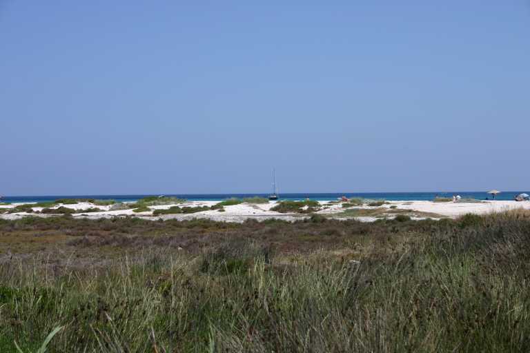 040606_PTSt_011.jpg (32012 Byte)