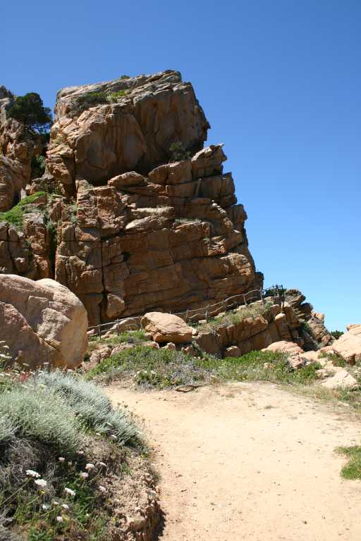 040607_ircp_009.jpg (50856 Byte)