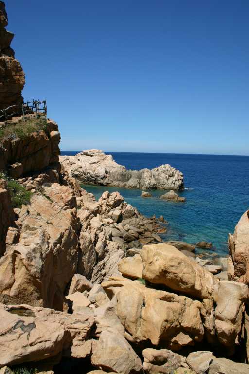 040607_ircp_010.jpg (46008 Byte)