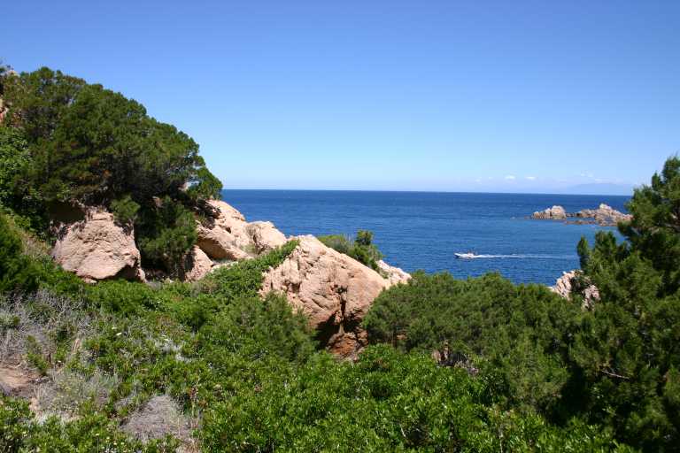 040607_ircp_011.jpg (52931 Byte)