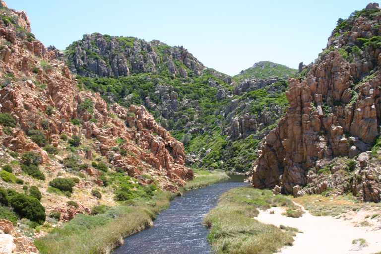 040607_ircp_013.jpg (62651 Byte)