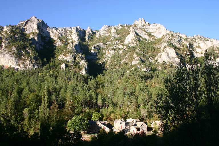 1009_SFSP_0074.JPG