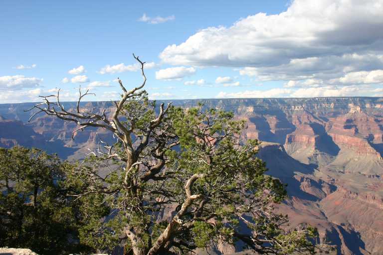 040921_GCNP_052.JPG (67295 Byte)